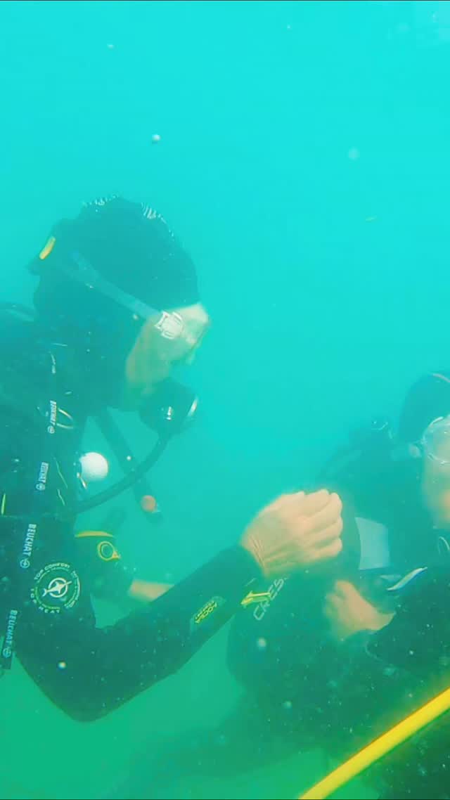 Les 20 et 21 septembre le lac d'Annecy a accueilli un weekend SN Outdoor consacré à la plongée handisport.
Le club la coulée douce de Sevrier était le support de l'organisation avec Laurence Verdier aux manettes🕹️. La pratique s'est faite dans le cadre de la pratique #handisub cogéré @handisportofficiel et @ffessm_officiel .
8 personnes pour l'encadrement, 16 stagiaires encadrants progressant dans la pratique Handisub,  9 sportifs FFH .
#handisport #outdoorsports #sportnature #highfive #accessibility #nature