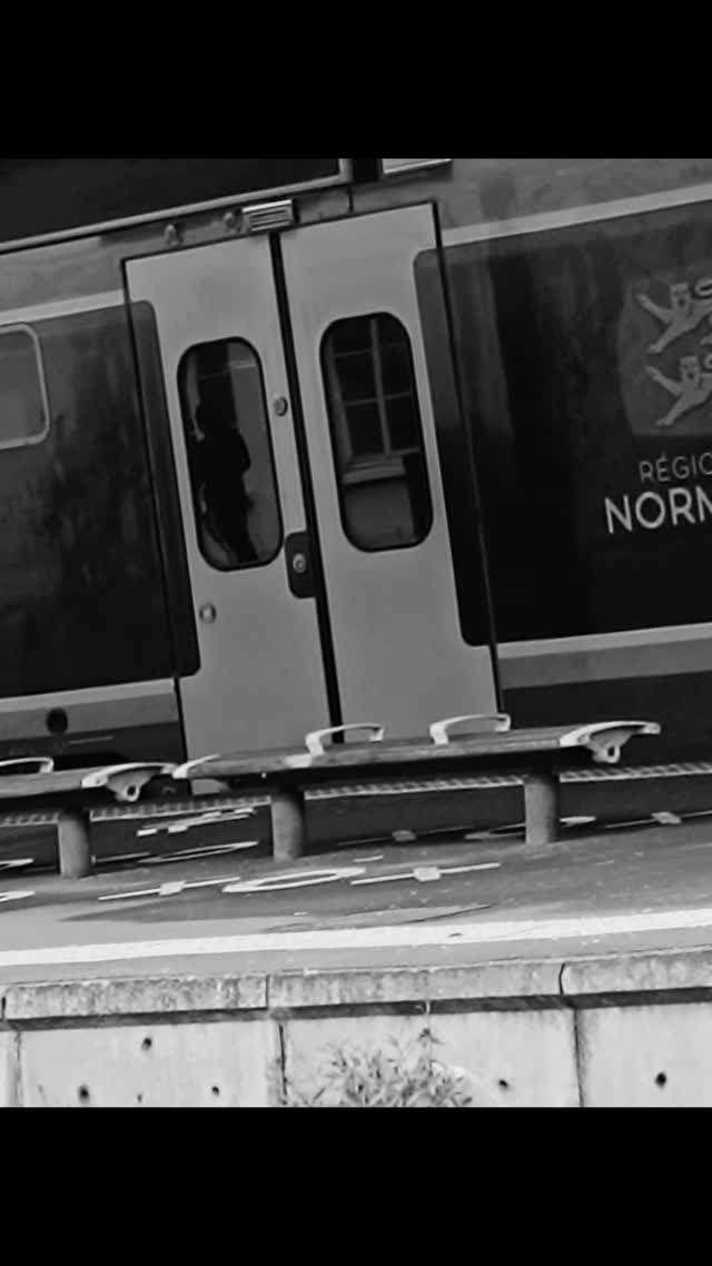 Formation accompagnateur randonnée handisport 
4 & 5 septembre 2025 en Suisse Normande #handisport #highfive #sportnature #outdoorsports #accessibility #nature